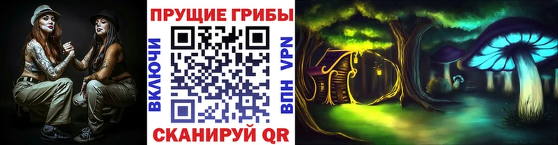 Галлюциногенные грибы Cubensis  дарнет шоп  Лодейное Поле 